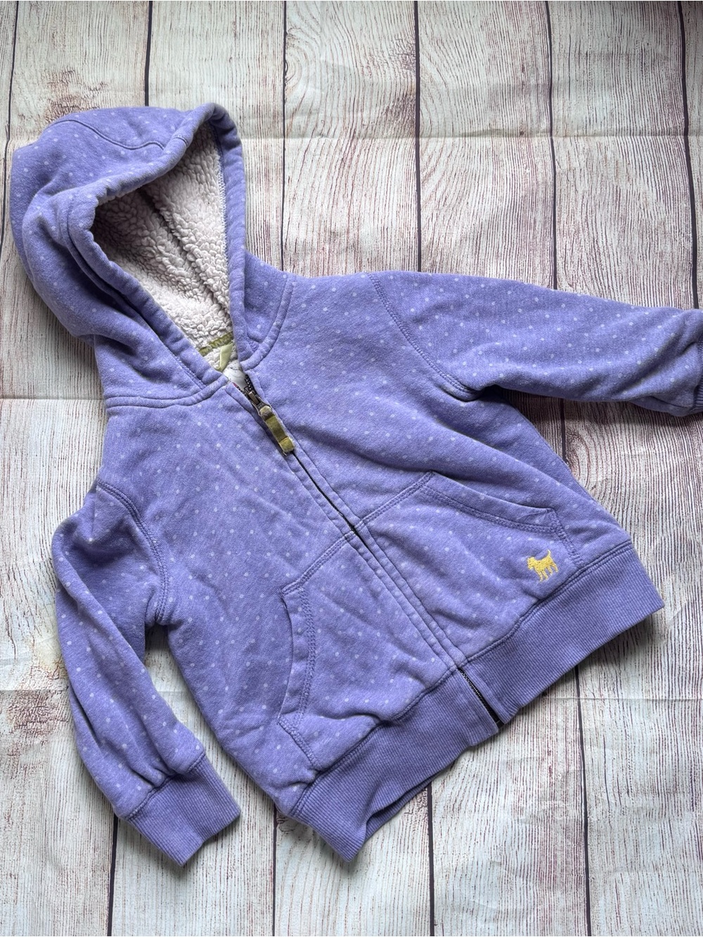Mini Boden Hooded Zip Front Sweatshirt